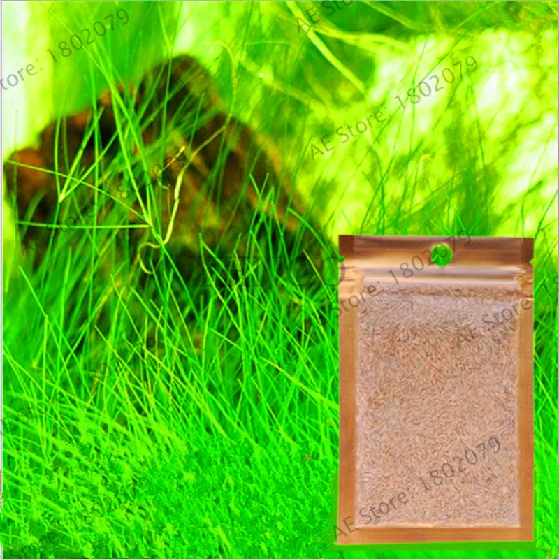 

Sale!Aquarium accessories Landscape Ornament aquatic Water Grass Mini Leaf Live Plant Fish Tank Decoration Home Graden ,#0MFBJW