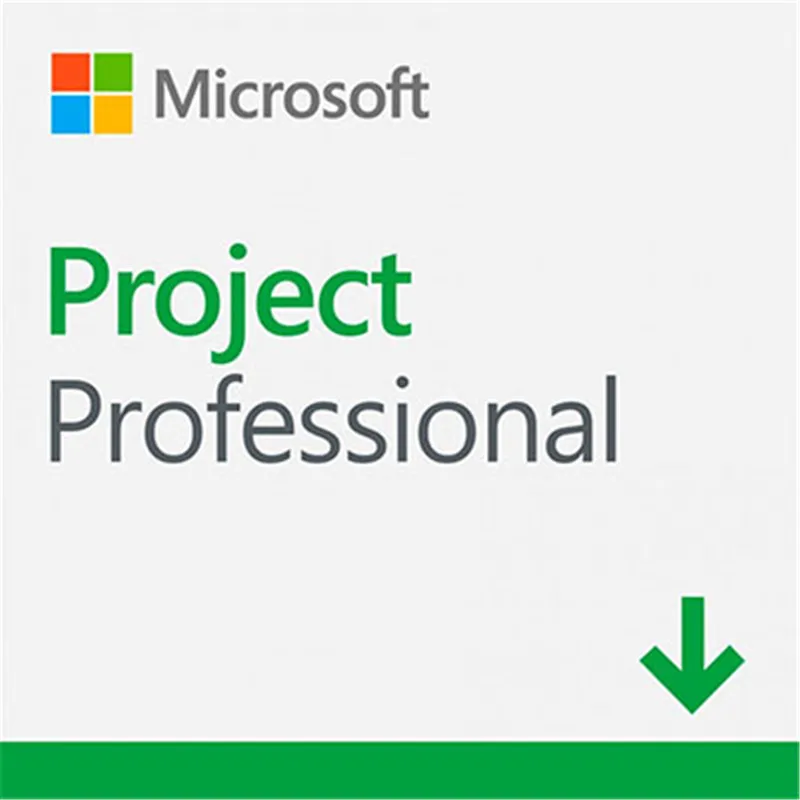 Microsoft Office Project Professional загрузка лицензионного ключа цифровая 1 пользователь