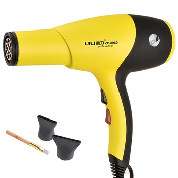

LILI ZP - 8080 Long Wire / Strong Motor / Negative Ion Hair Dryer