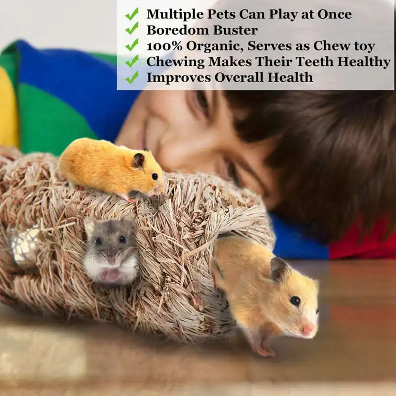 

hand-woven Grass Tunnel Toy - Small Animal Activity Center From pet-safe All Natural Grass Tunnel House - Perfect For Rabbits