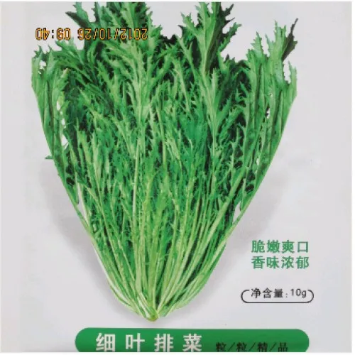 

Egeria Brassica juncea bonsai selling vegetable bonsai 100pcs
