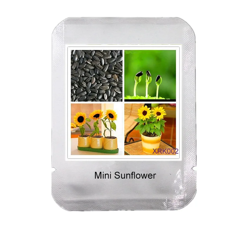 

50 mini sunflower garden Dwarf sunflower plant sunflower series height 40cm Bonsai Flower flores * Professional Packaging, #XRK0
