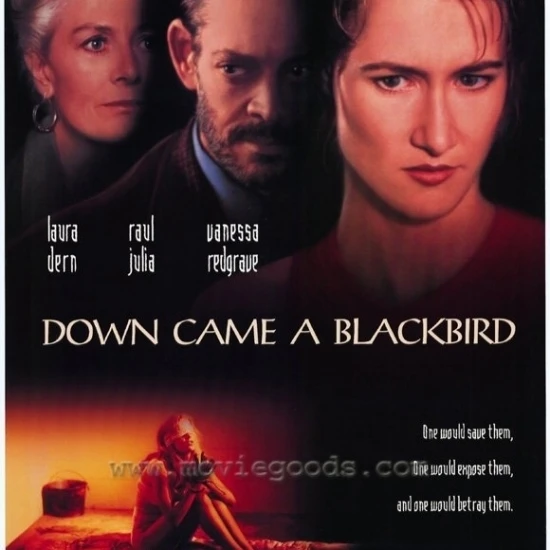 Вниз пришел постер фильма Blackbird (27x40) | Дом и сад