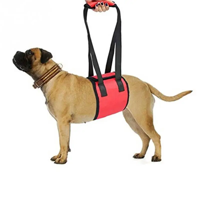

Portable Elderly Disabled Pet Auxiliary Belt Dog Lift Support Go Upstairs Pets Rehabilitation Harness Assist Sling