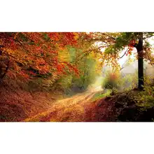 Фото на заказ! Полный 5D Diy Алмазная вышивка крестиком Осенние Пейзажи полный картины со стразами вышивка подарки