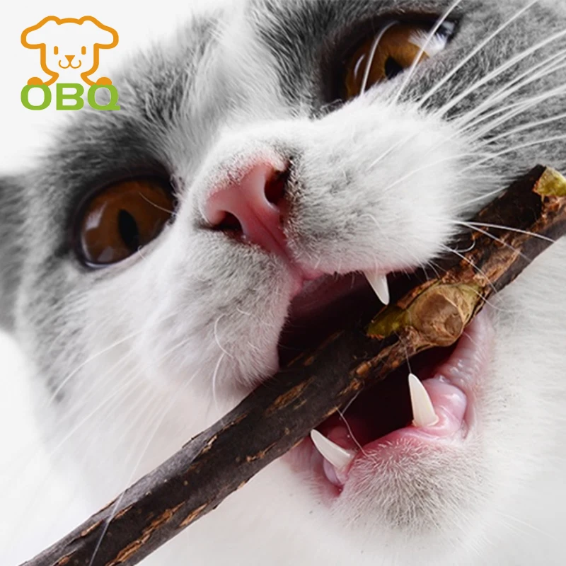 

OBQ Cat Toy Natural Chew Toys For Cat 1Pack*5Pcs Pet Teeth Stick Catnip Supplies Pure Cleaning Teeth Pet Molar Toothpaste Stick