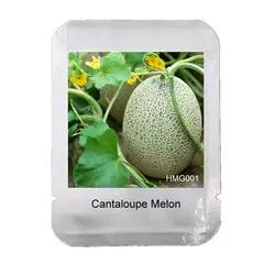 20 шт экстра-Большой Экстра-сладкий cantaloupe бонсай, профессиональный пакет, фрукты и овощи горшки для балкона Дыня сад, # HMG0