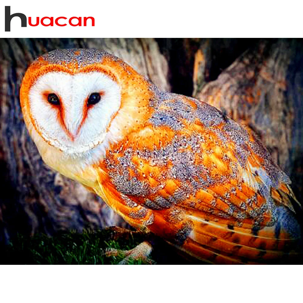 

Huacan Diamond Painting Owl 5d Diy Pictures With Rhinestones Diamond Mosaic Bird Full Square Drill Diamond Embroidery Needlework