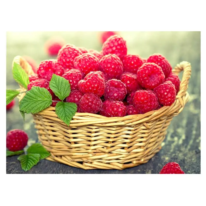 ABFY-Full 5D Diy Diamond Painting Cross Stitch &quotRed fruit&quot 3D Embroidery Rhinestone Decor Paintings | Дом и сад
