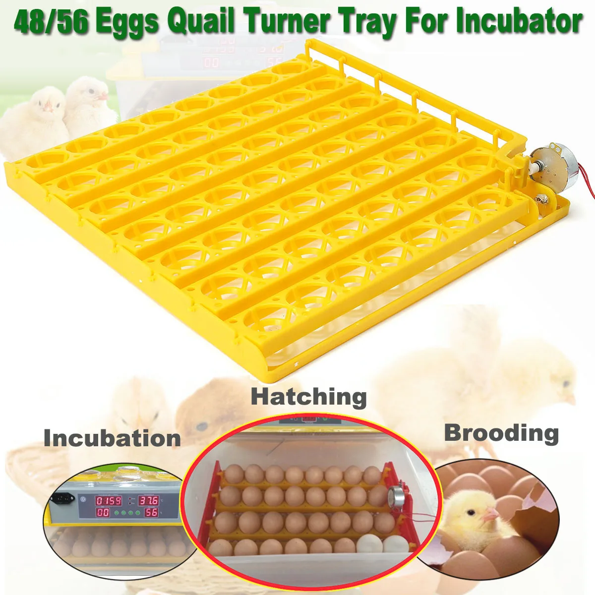 

55 Position Incubator Turning Tray with a PCB Turning Quail Turner with Motor 110V AC for Eggs Quail Poultry