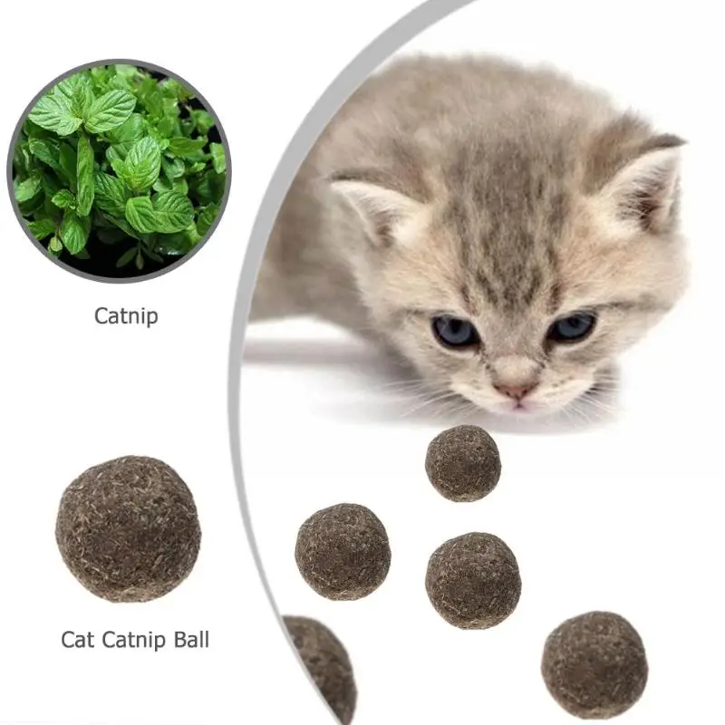 Коты натуральная мята съедобный мяч котенок интерактивный кусать кошачья мята игры игрушки для кошки котенок закуски Здоровый Уход мята мяч