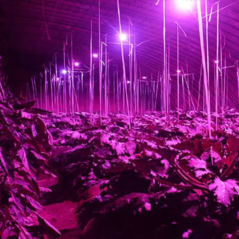 Полный спектр LED Grow Light 8W E27 500lm прожектор лампа цветок завод теплица Гидропоника