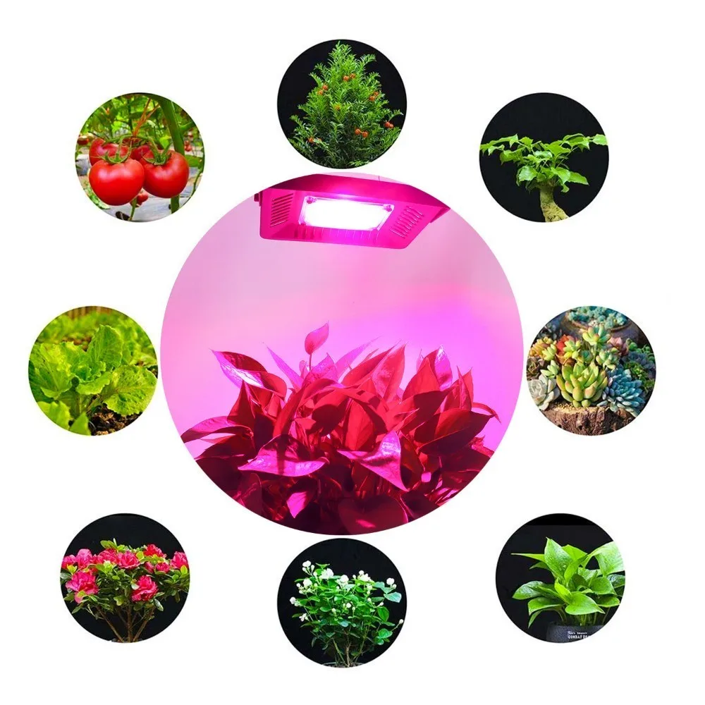 100 Вт LED Cob лампа для выращивания растений Водонепроницаемая полный спектр роста