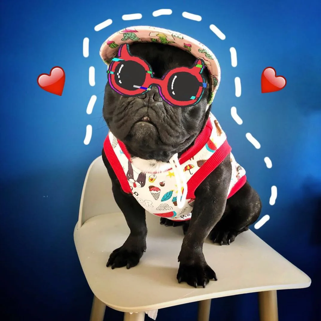

Cotton Soft Summer Cool Vest for French Bulldog Pet Dog Clothes for Small Dogs Pets Clothing Yorkshire Apparel Pug Costume