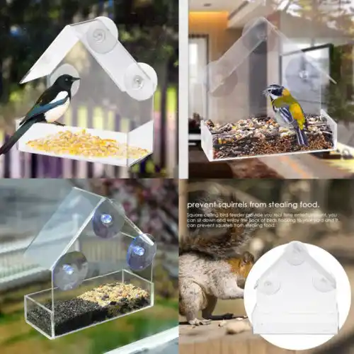 Fashion Practical Acrylic Transparent Bird Squirrel Feeder Tray