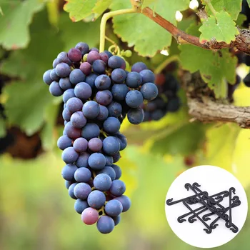 

100Pcs Grape Grafting Clips Grape Support Vine Grafting Clips Garden Plants Vegetables Fixed Hooks rape Support Vine Clips