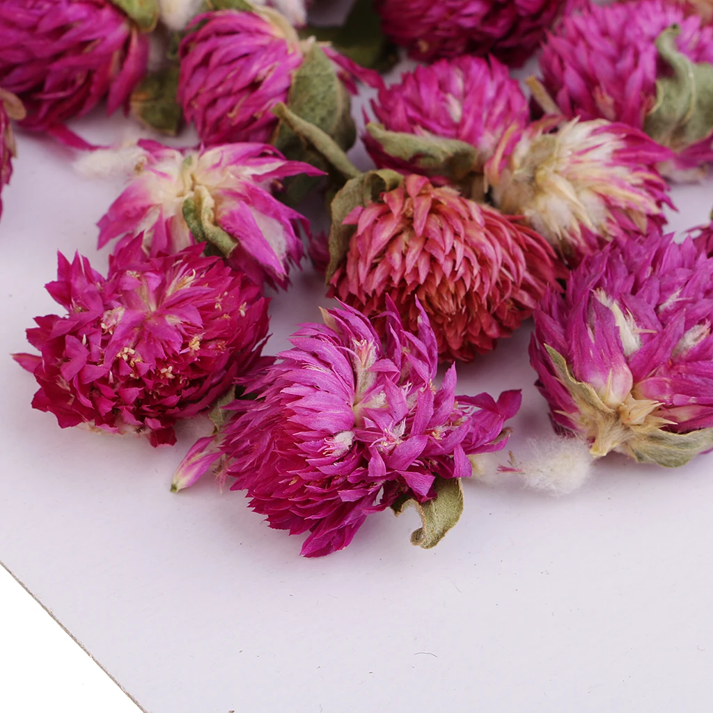 20 шт. прессованные цветы сушеные Gomphrena Globosa DIY Смола литья Подвески Ювелирные изделия, свечи, мыло поставки