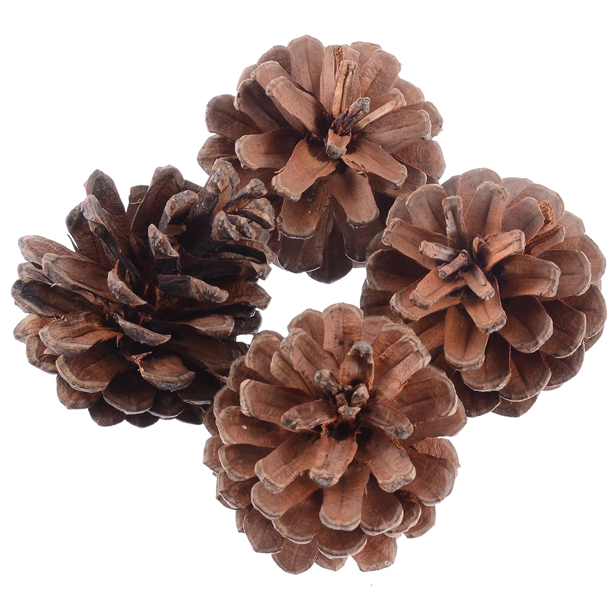 

4pcs Pet Funny Chew Teeth Care Play Toy Wood Pine Cone For Rabbit Hamster Guinea Pig Pet Molars Supplies