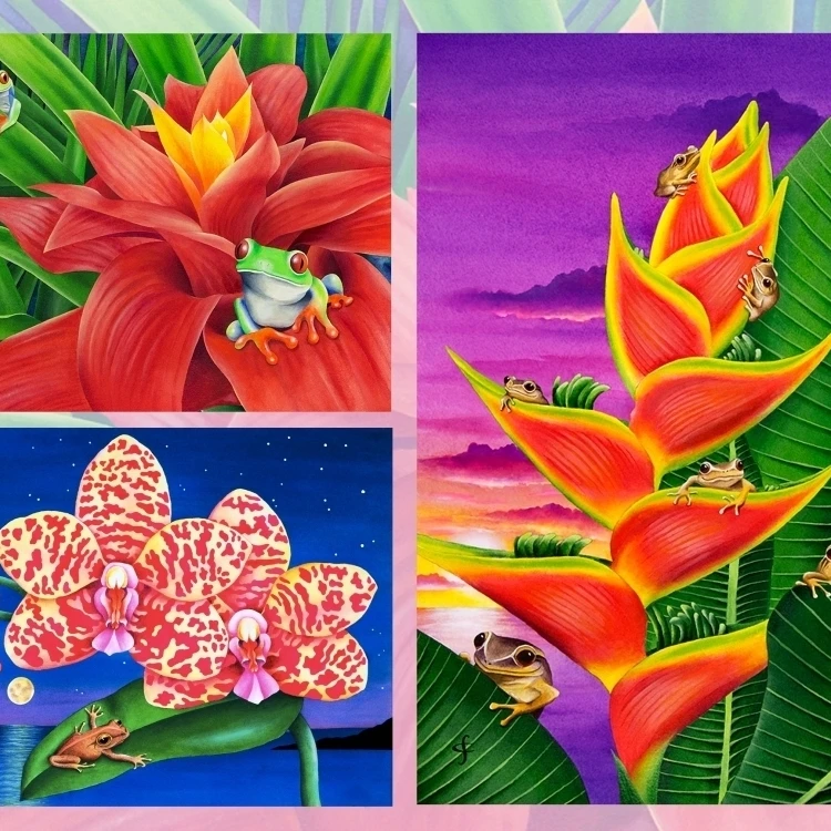 Лягушка Multipic плакат печать Carolyn Steele (32x24) | Дом и сад
