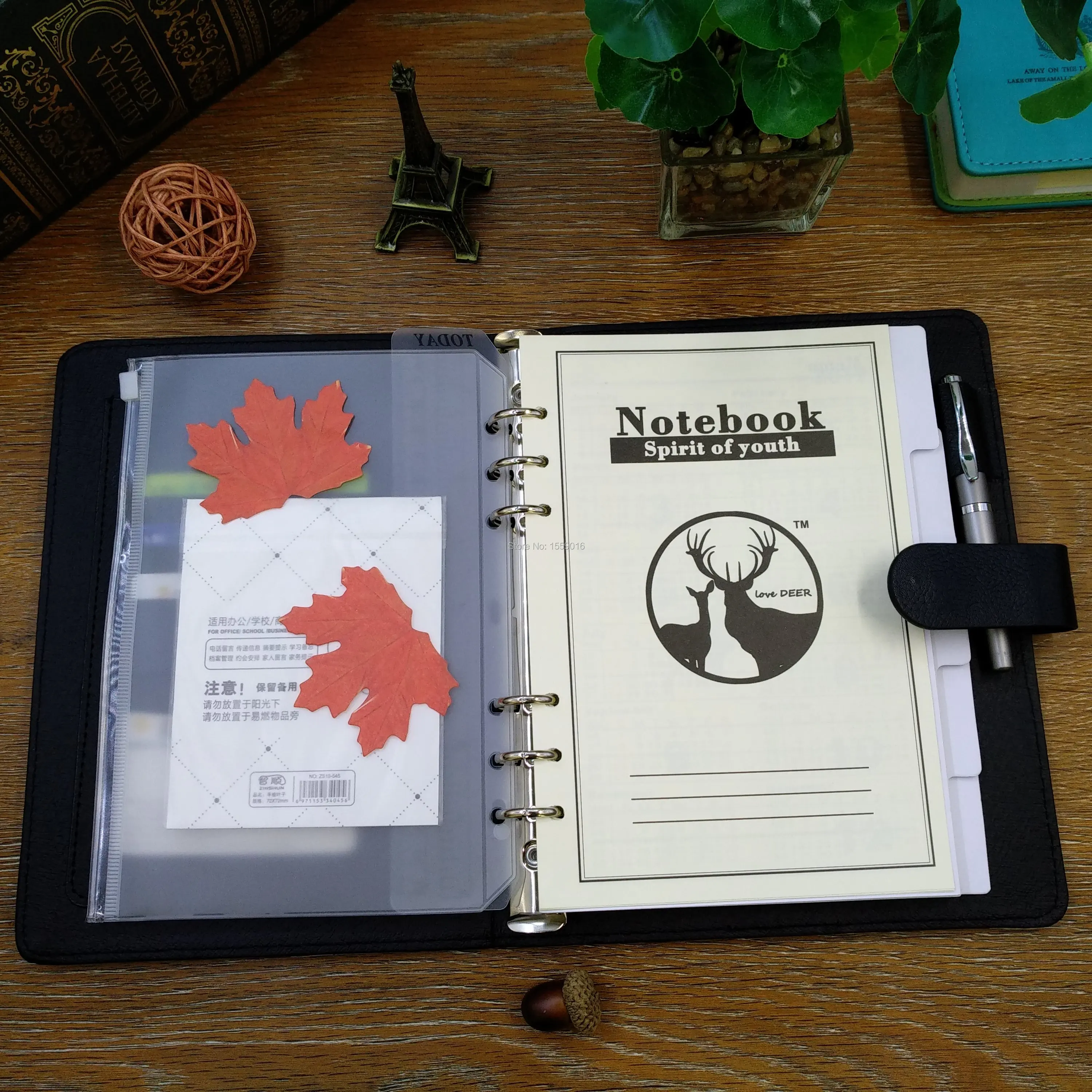 Padfolio 2020 планировщик A5 блокнот кольцо Переплет Дневник записная книжка с 2021