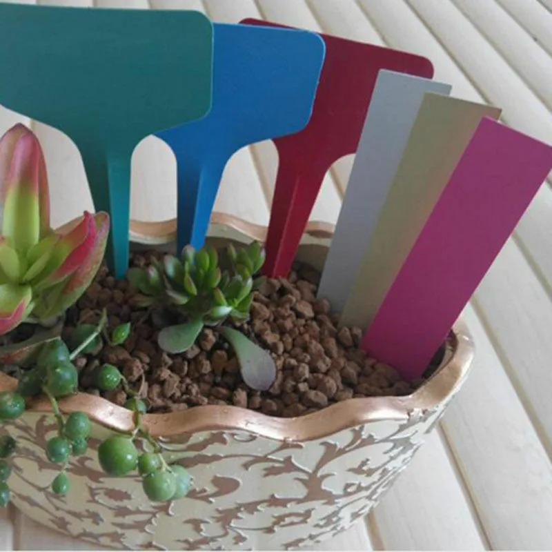 

100pcs Easy Rigid Plastic Plant Labels Decorative Stakes Garden Seed Label Tags 5x1cm Pot Marker Reusable Garden Plant Label Kit