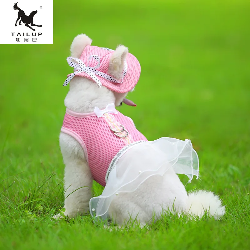 Новый год домашних животных Лето статьи кошка и собака жгут ошейники ремни