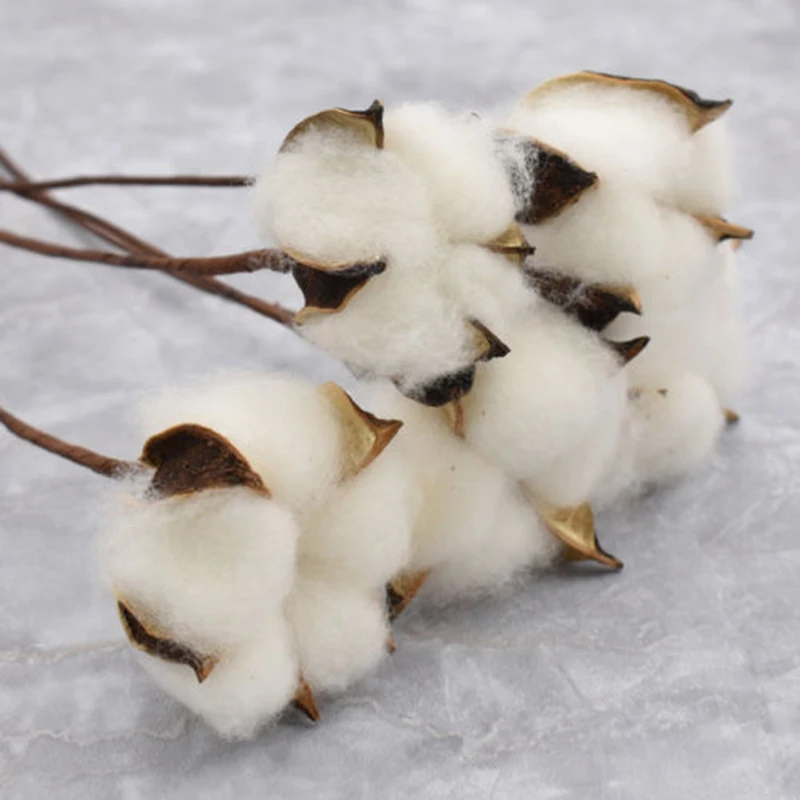 

5 Pcs Natural Dried Cotton Flower Artificial Branch Wedding Party Home Decor