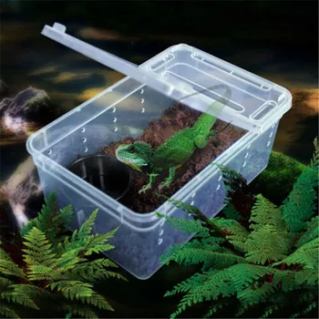 

2019 Portable Transparent Plastic Box Insect Reptile Transport Breeding Live Food Feeding Box