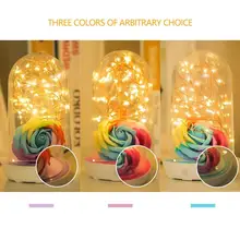

2019 Rose Flower Artificial Bottle LED Light Decorative Night Light Christmas Lights USB Charge Valentine Day Night Light Decor