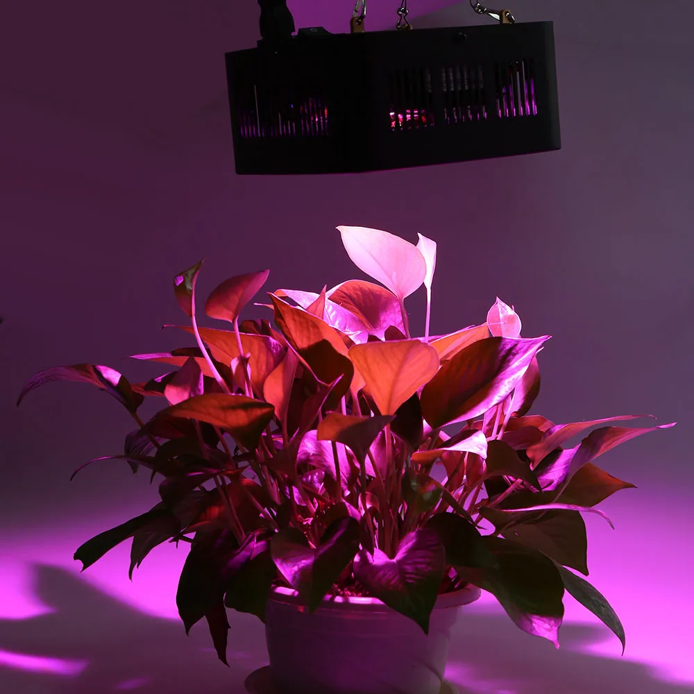 

ON SALE 96W COB Full Spectrum LED Grow Light Professional Growing Lamp For Indoor Plant Growing EU/US PLUG