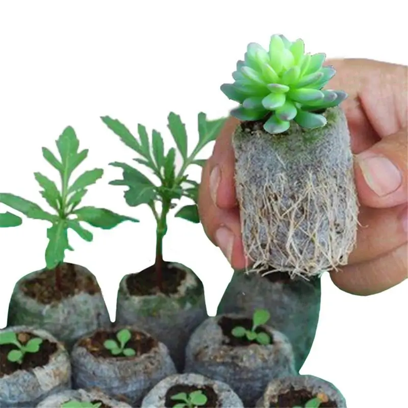 

100PCS Degradable Environmentally Friendly Seedling Bags Nonwovens Seedling Plant Nursery Bags 5 X 7CM / 1.97 X 2.76In