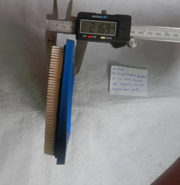 Air Filter Briggs & Stratton  399877 100700 6