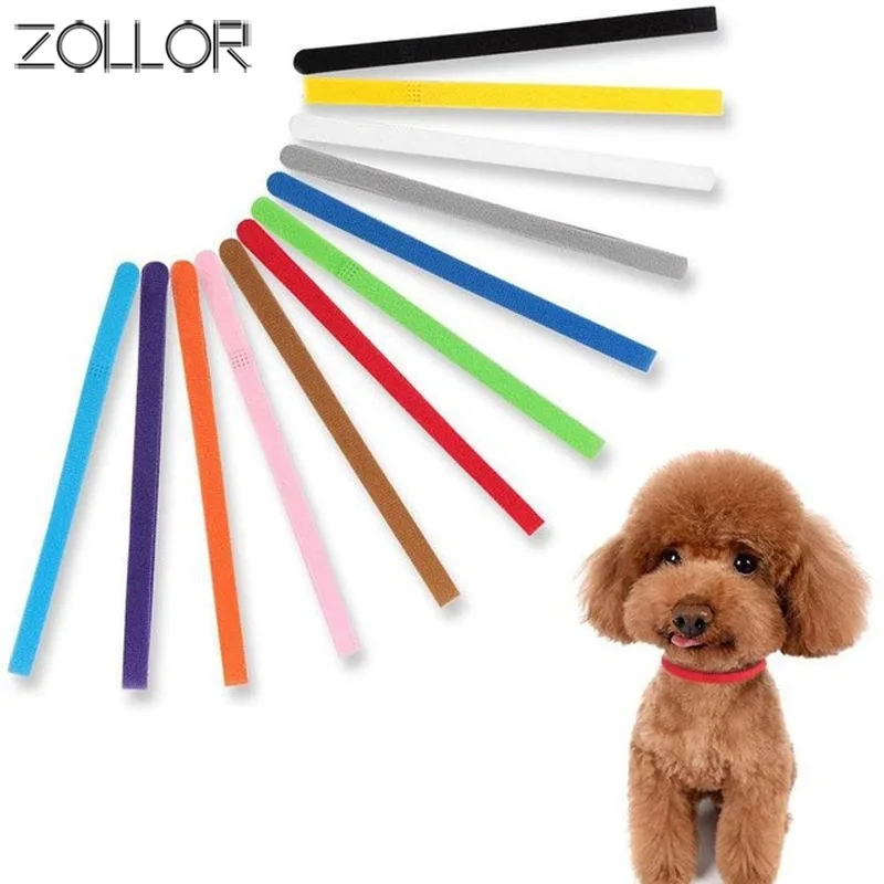 

ZOLLOR Puppy Kitten Neck Identity Identification Pet Id Collar Adjustable Size Strap Neck Ring Accessories For Dogs Cats Animal