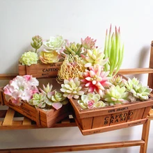 Растения суккуленты Украшения Сада DIY алоэ Кактус белый искусственный дом