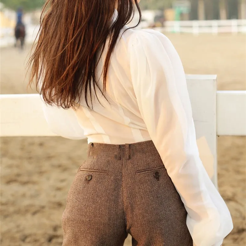 Price TWOTWINSTYLE Chiffon Shirts Blouse Women Stand Collar Lantern Long Sleeve Tops Female Elegant Fashion Clothes 2019 Spring