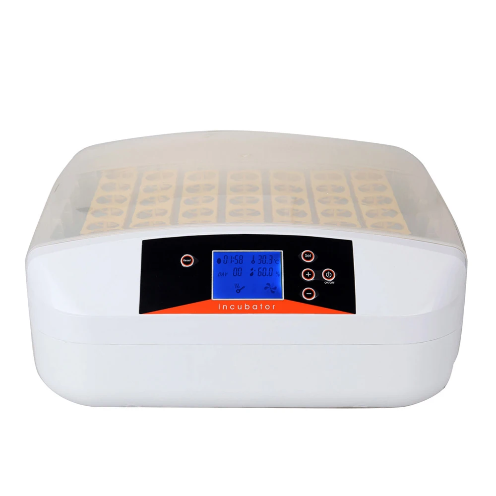 

Hot sale Chinese chicken incubator for home use automatic temperature control chicken hatching tool machine with high quality