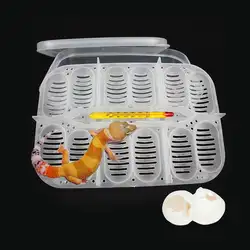 12-отделение коробка для разведения Reptile инкубационных яиц инкубатор Ящерица Геккон змея случае амфибии контейнер ящик с термометром