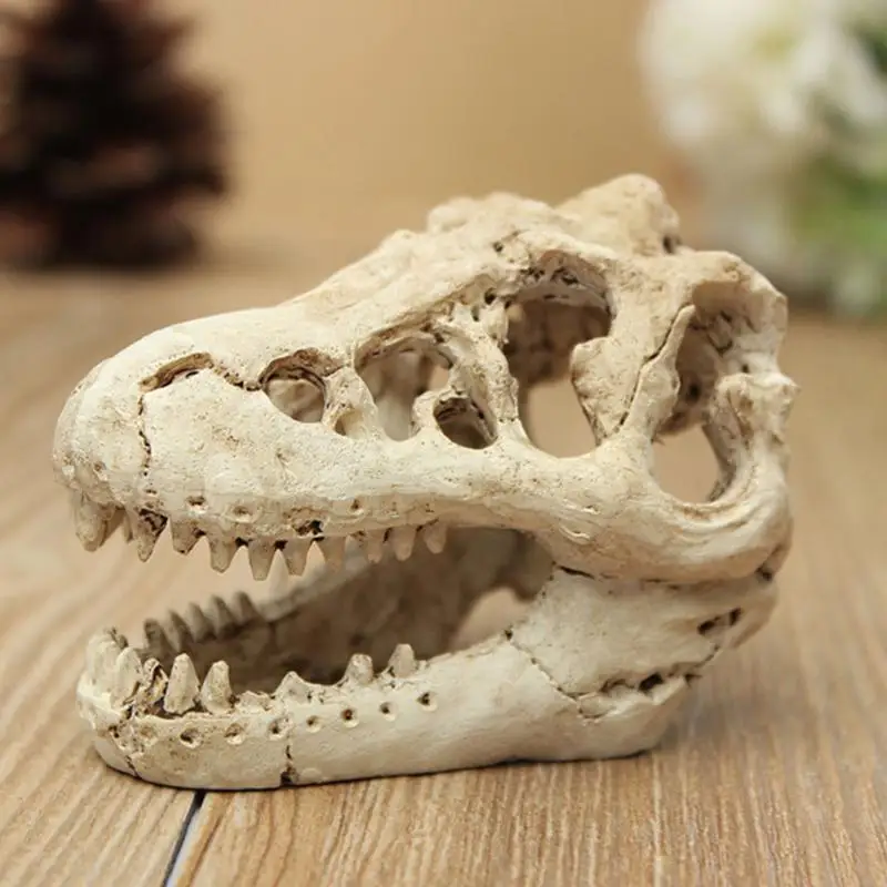 

Resin Aquarium Terrarium Decoration Resin Dinosaur Skull For Fish Tank Resin Ornament Aquarium Decorate 8.5x5.5X4.5cm