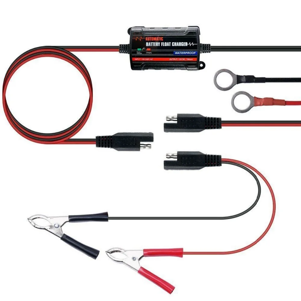

Intelligent Battery Charger 120Ah 6V / 12V Charger Battery Conservation Device