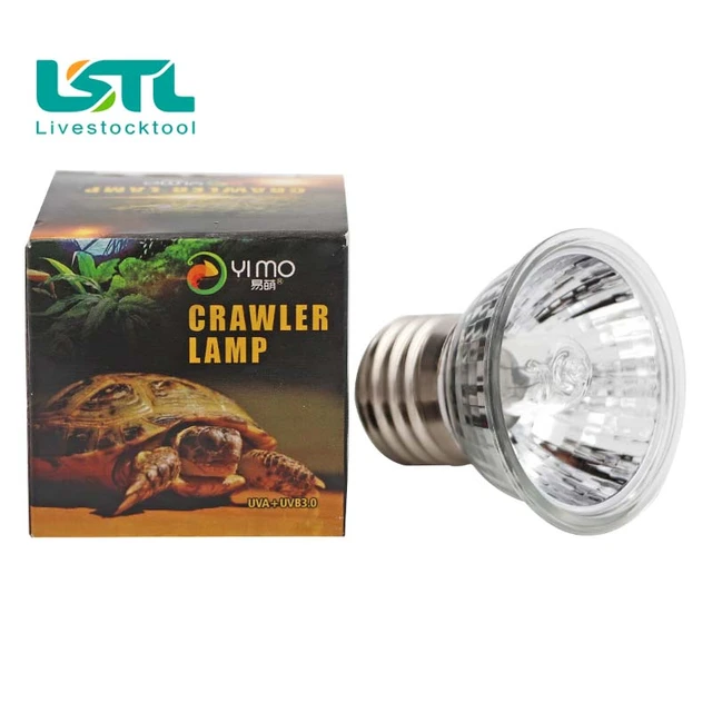 Outdoor Heat Lamp For Tortoise edu.svet.gob.gt
