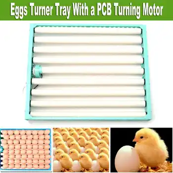 

1 Set 360 Degree Chicken Eggs Turner Automatic Incubator Duck Quail Bird Poultry Eggs Tray Farm Incubation Tools Supplies