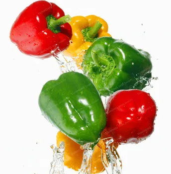 

Sweet Pepper Bonsai Multicolored Pepper Bonsai Balcony Fruits And Vegetables For Home Garden Bonsai Plants Free Shipping 100 PCS