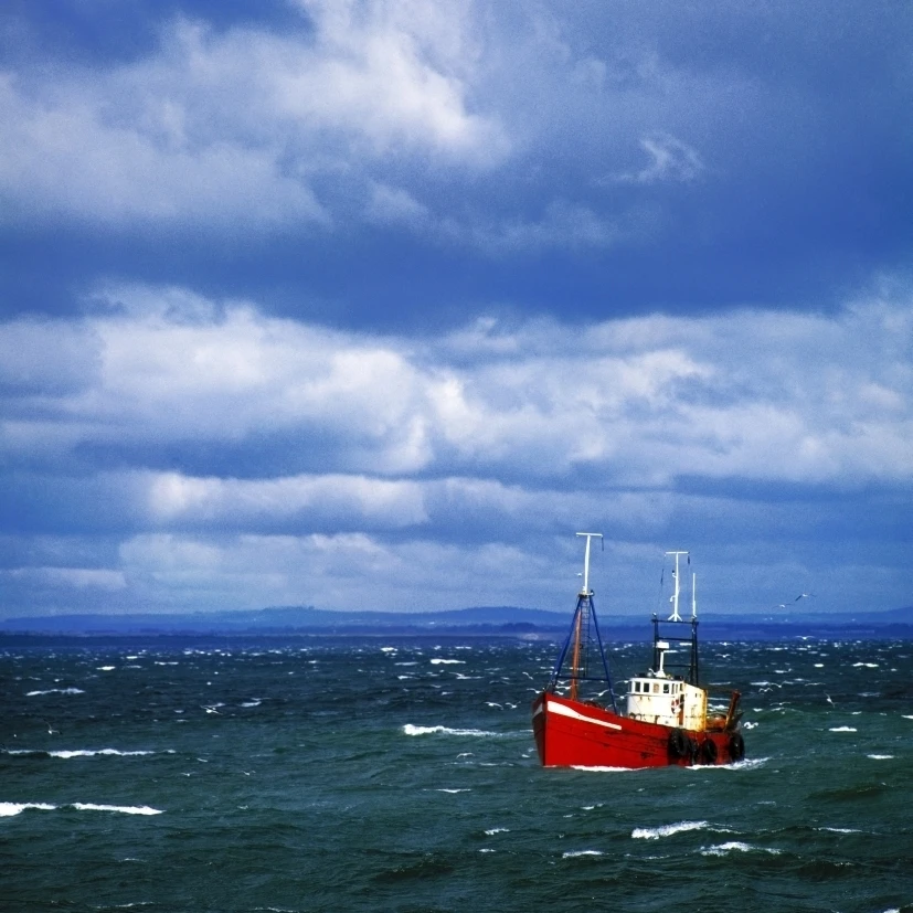 Skerries Co Dublin Ireland траулер собирается в гавань плакат печать (24x30) | Дом и сад