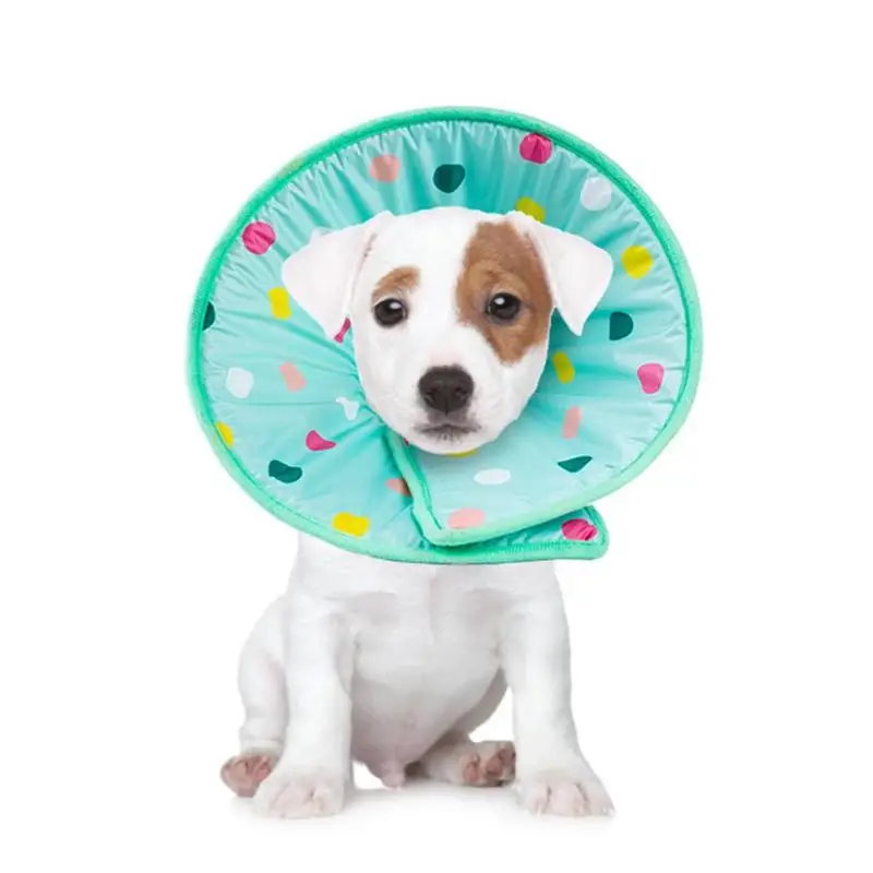 Buy Pet Elizabeth Circle Guard Collar Ring Dog Anti Bite Soft Sponge Safety