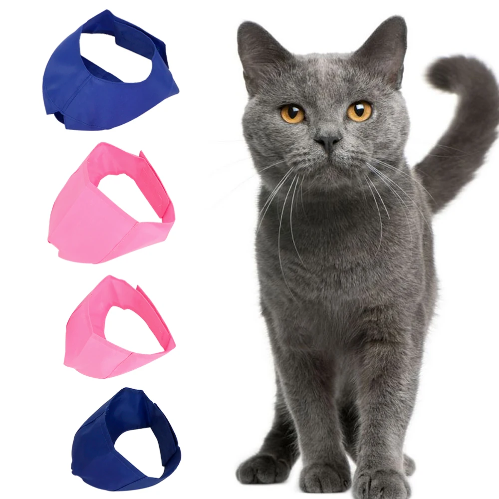 masque protection chat masque protection chat