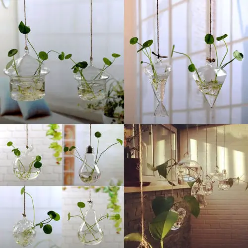 

Hanging Glass Flowers Plant Vase Bottle Terrarium Container Home Garden Decors