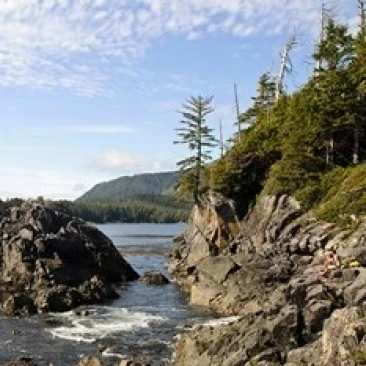 Outcrop Hot Springs Cove остров Ванкувер Британская Колумбия плакат печать Мэтт Freedman (36x24) |