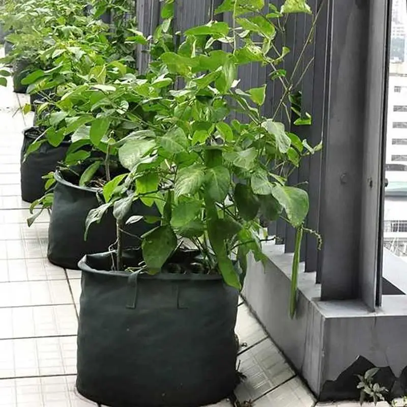 

DIY Foldable Potato Grow Bag Planter PE Cloth Planting Container Bag Vegetable Gardening Flowers Planting Grow Bag Garden Pot