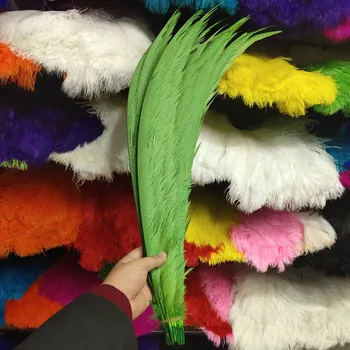 

Rare 10pcs Green Natural Golden Pheasant Tail Feathers 26-28 inch/65-70 cm For Wedding Christmas Home Craft New Year decoration