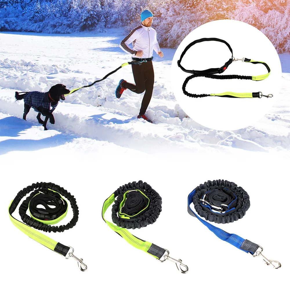 

Night Reflective Retractable Dog Leash Puppy Cat Traction Rope Belt Pet Products Elastic Waist Belt Running Jogging Dog Lead